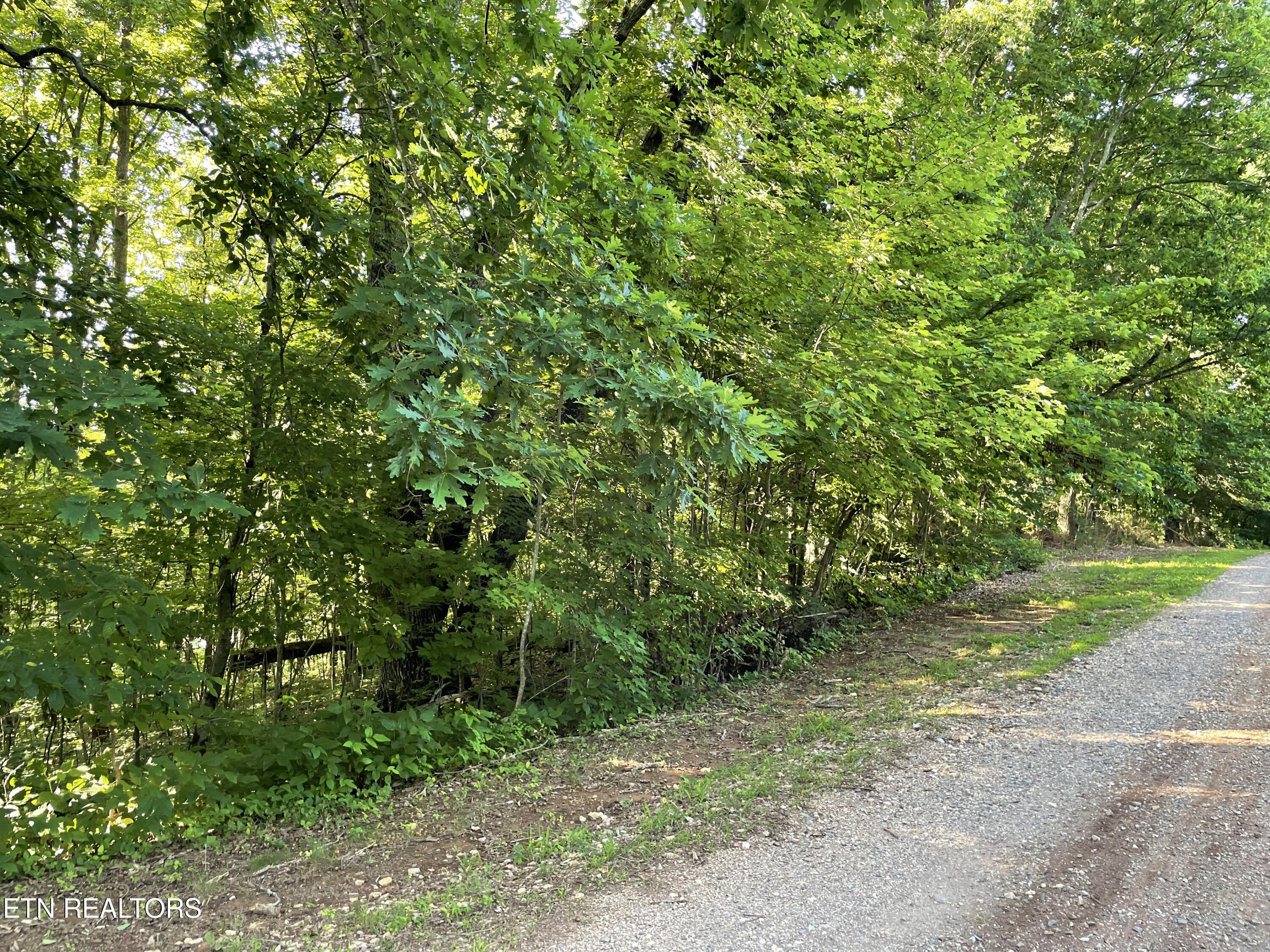Highway 411 Lot 3