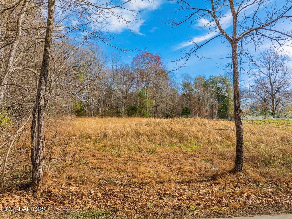 Photo of Collins Rd, Blaine, TN 37709 (MLS # 1322961)
