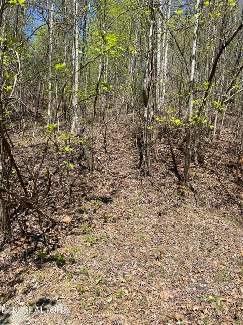 Tiny photo for 549 Garnet Tr, New Tazewell, TN 37825 (MLS # 1336854)