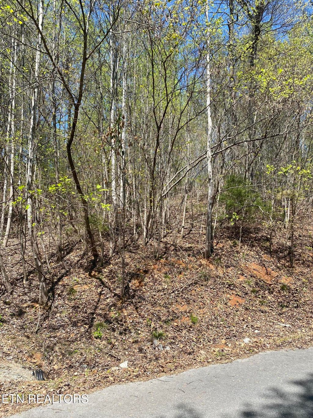 Photo of 549 Garnet Tr, New Tazewell, TN 37825 (MLS # 1336854)