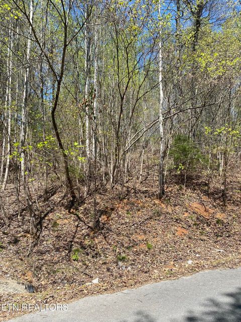 Tiny photo for 549 Garnet Tr, New Tazewell, TN 37825 (MLS # 1336854)