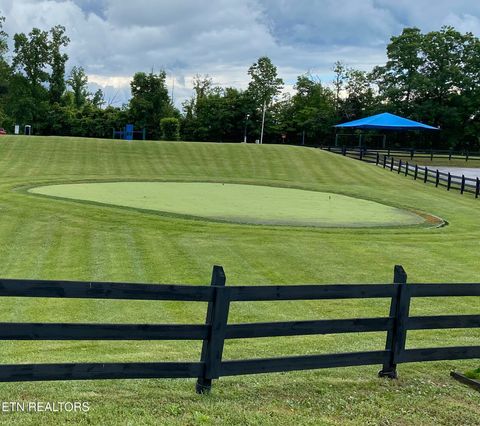 Tiny photo for 549 Garnet Tr, New Tazewell, TN 37825 (MLS # 1336854)