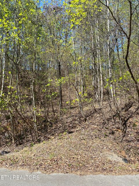 Photo of 549 Garnet Tr, New Tazewell, TN 37825 (MLS # 1336854)