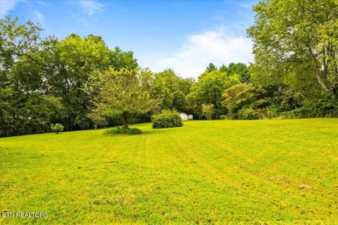 Tiny photo for 165 Elizabethton Way, Clinton, TN 37716 (MLS # 1354514)