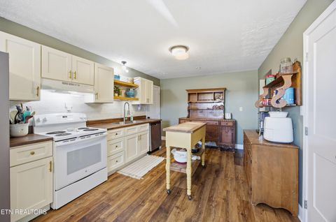 Tiny photo for 732 Paint Rock Ferry Rd, Kingston, TN 37763 (MLS # 1325163)