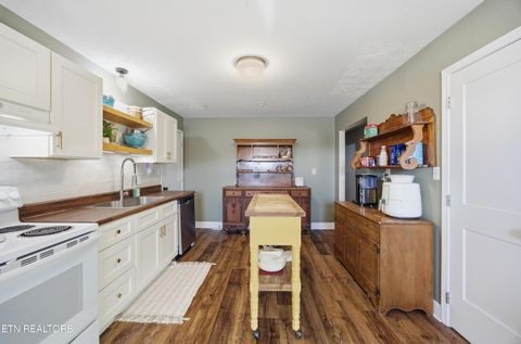 Tiny photo for 732 Paint Rock Ferry Rd, Kingston, TN 37763 (MLS # 1325163)