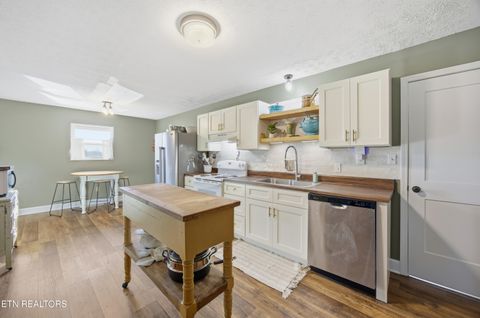 Tiny photo for 732 Paint Rock Ferry Rd, Kingston, TN 37763 (MLS # 1325163)