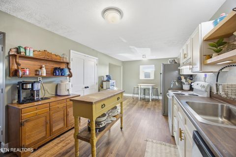 Tiny photo for 732 Paint Rock Ferry Rd, Kingston, TN 37763 (MLS # 1325163)