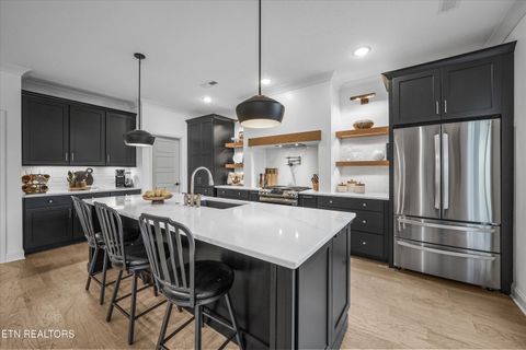 Tiny photo for 12228 Broady Glen Lane, Knoxville, TN 37932 (MLS # 1327963)