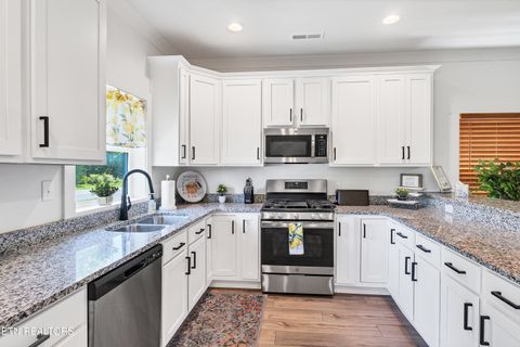 Tiny photo for 410 Fleeta Williams Way, Sevierville, TN 37862 (MLS # 1340971)