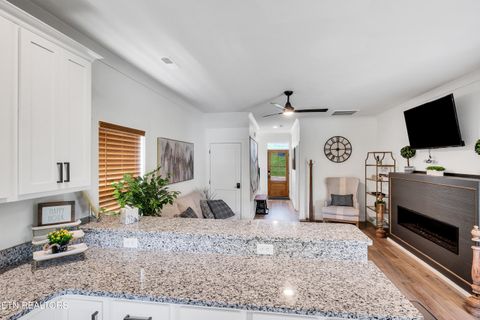Tiny photo for 410 Fleeta Williams Way, Sevierville, TN 37862 (MLS # 1340971)