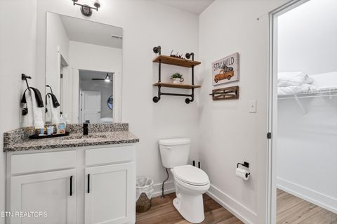 Tiny photo for 410 Fleeta Williams Way, Sevierville, TN 37862 (MLS # 1340971)