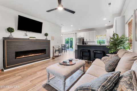Tiny photo for 410 Fleeta Williams Way, Sevierville, TN 37862 (MLS # 1340971)