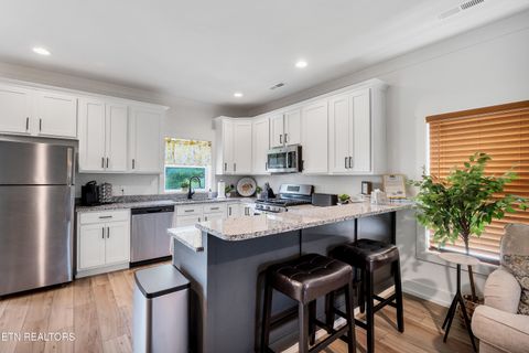 Tiny photo for 410 Fleeta Williams Way, Sevierville, TN 37862 (MLS # 1340971)