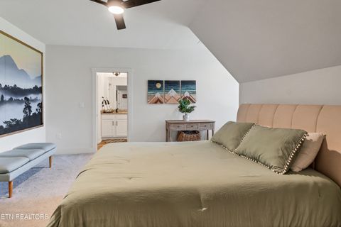 Tiny photo for 410 Fleeta Williams Way, Sevierville, TN 37862 (MLS # 1340971)