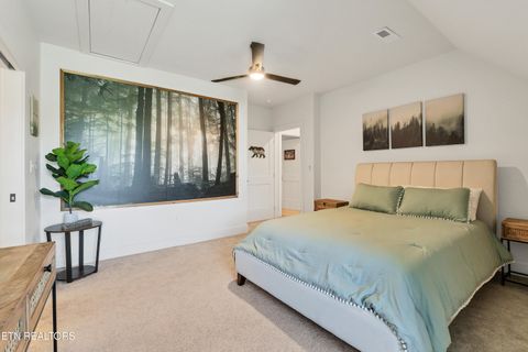 Tiny photo for 410 Fleeta Williams Way, Sevierville, TN 37862 (MLS # 1340971)