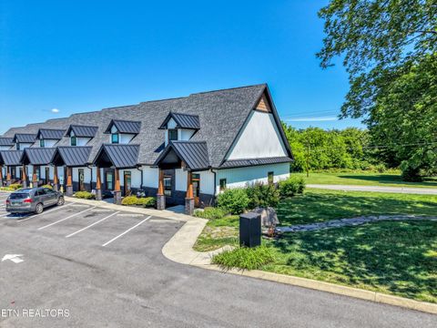 Tiny photo for 410 Fleeta Williams Way, Sevierville, TN 37862 (MLS # 1340971)