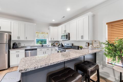 Tiny photo for 410 Fleeta Williams Way, Sevierville, TN 37862 (MLS # 1340971)