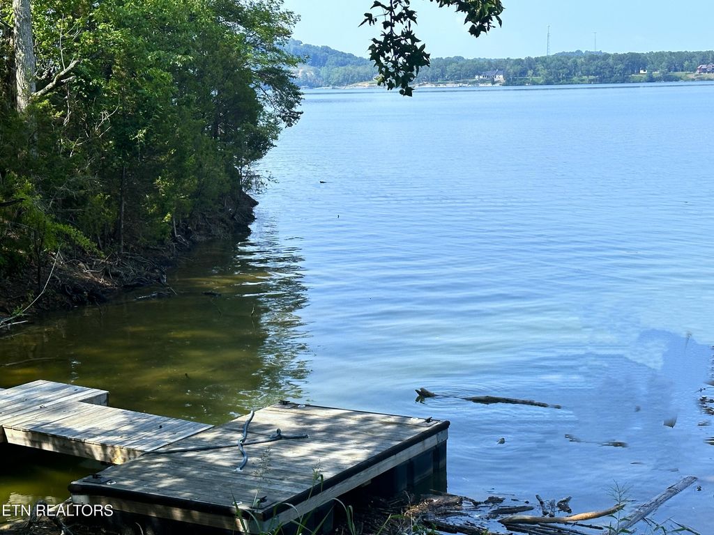 Photo of 534 Bonnevista Drive, White Pine, TN 37890 (MLS # 1290506)