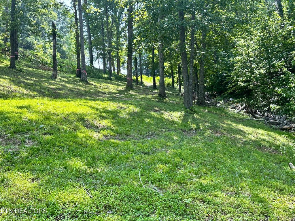Photo of 534 Bonnevista Drive, White Pine, TN 37890 (MLS # 1290506)