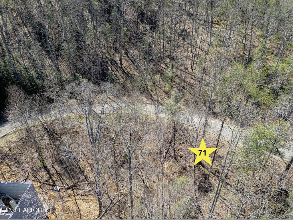 Photo of Lot 71 Smoky Ridge Way, Sevierville, TN 37862 (MLS # 1279841)