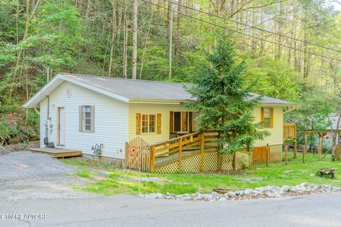 Tiny photo for 250 Cartertown Rd, Gatlinburg, TN 37738 (MLS # 1298391)