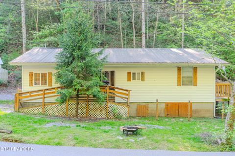 Tiny photo for 250 Cartertown Rd, Gatlinburg, TN 37738 (MLS # 1298391)
