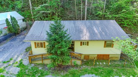 Tiny photo for 250 Cartertown Rd, Gatlinburg, TN 37738 (MLS # 1298391)