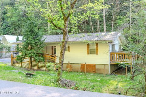 Tiny photo for 250 Cartertown Rd, Gatlinburg, TN 37738 (MLS # 1298391)
