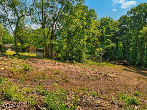 Tiny photo for 147 Stephens Rd, Rocky Top, TN 37769 (MLS # 1339549)
