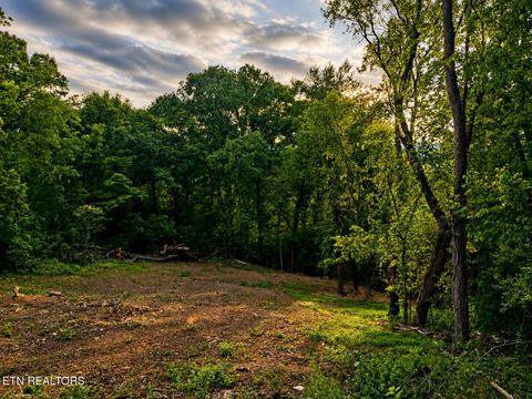 Photo of 147 Stephens Rd, Rocky Top, TN 37769 (MLS # 1339549)