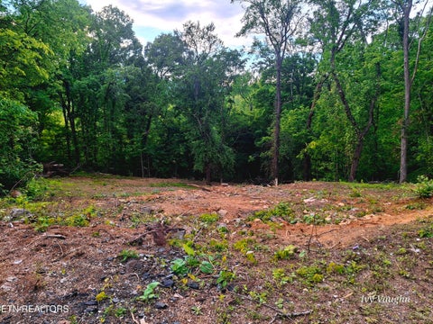 Tiny photo for 147 Stephens Rd, Rocky Top, TN 37769 (MLS # 1339549)