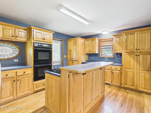 Tiny photo for 3442 River Rd, Ten Mile, TN 37880 (MLS # 1341361)