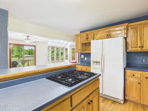 Tiny photo for 3442 River Rd, Ten Mile, TN 37880 (MLS # 1341361)