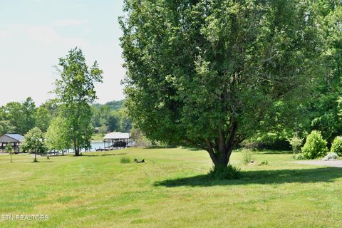 Tiny photo for 3442 River Rd, Ten Mile, TN 37880 (MLS # 1341361)