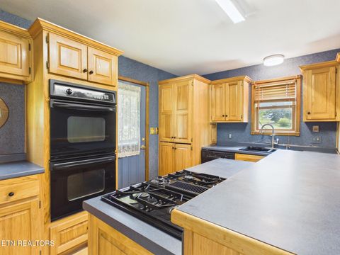 Tiny photo for 3442 River Rd, Ten Mile, TN 37880 (MLS # 1341361)
