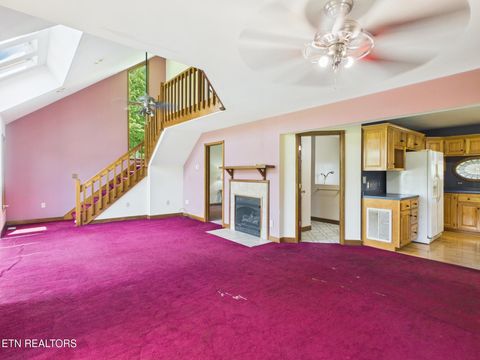 Tiny photo for 3442 River Rd, Ten Mile, TN 37880 (MLS # 1341361)