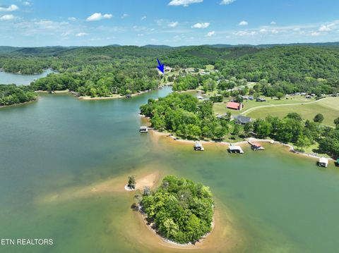 Tiny photo for 3442 River Rd, Ten Mile, TN 37880 (MLS # 1341361)