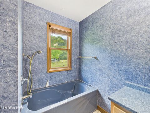 Tiny photo for 3442 River Rd, Ten Mile, TN 37880 (MLS # 1341361)