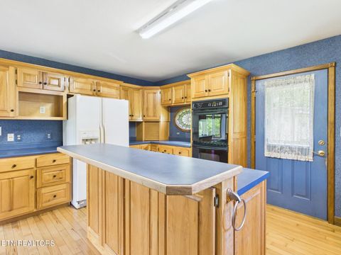 Tiny photo for 3442 River Rd, Ten Mile, TN 37880 (MLS # 1341361)