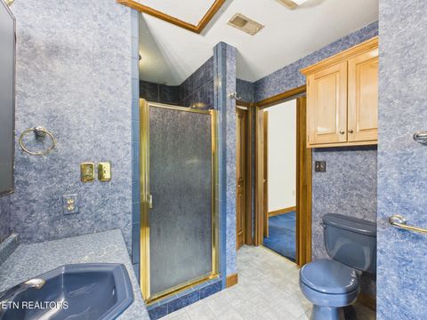 Tiny photo for 3442 River Rd, Ten Mile, TN 37880 (MLS # 1341361)