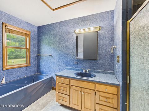 Tiny photo for 3442 River Rd, Ten Mile, TN 37880 (MLS # 1341361)