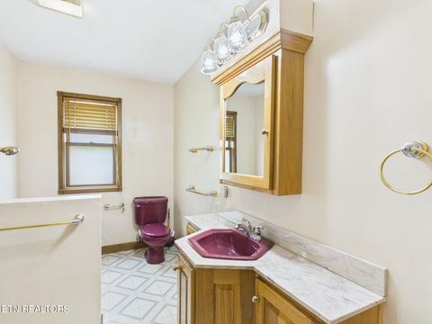 Tiny photo for 3442 River Rd, Ten Mile, TN 37880 (MLS # 1341361)