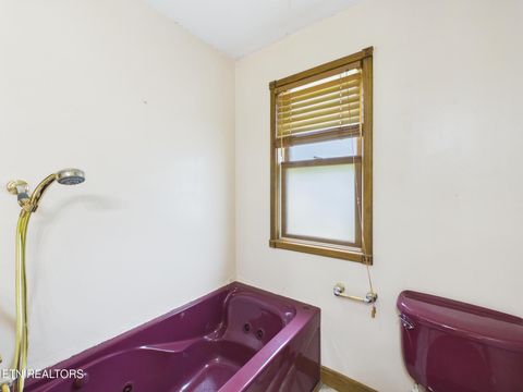 Tiny photo for 3442 River Rd, Ten Mile, TN 37880 (MLS # 1341361)