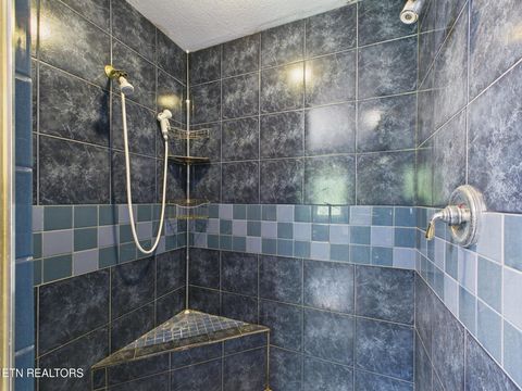 Tiny photo for 3442 River Rd, Ten Mile, TN 37880 (MLS # 1341361)