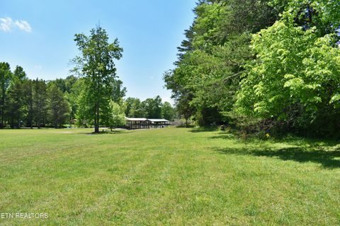 Tiny photo for 3442 River Rd, Ten Mile, TN 37880 (MLS # 1341361)