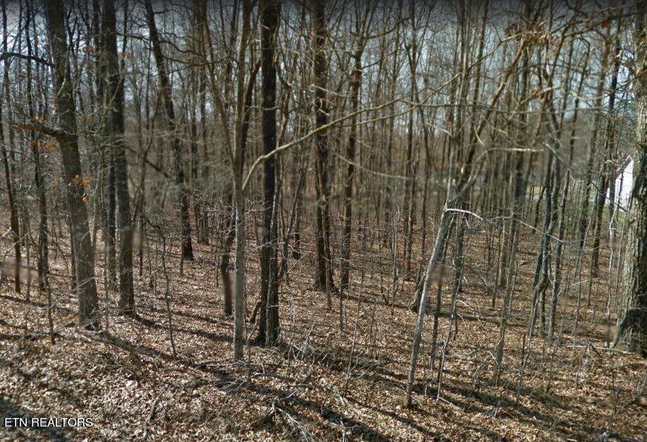 View Crossville, TN 38572 land