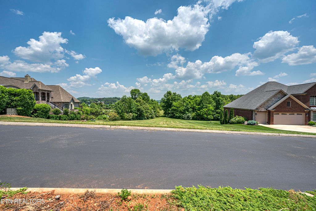 Photo of 320 Cormorant Drive, Vonore, TN 37885 (MLS # 1311373)