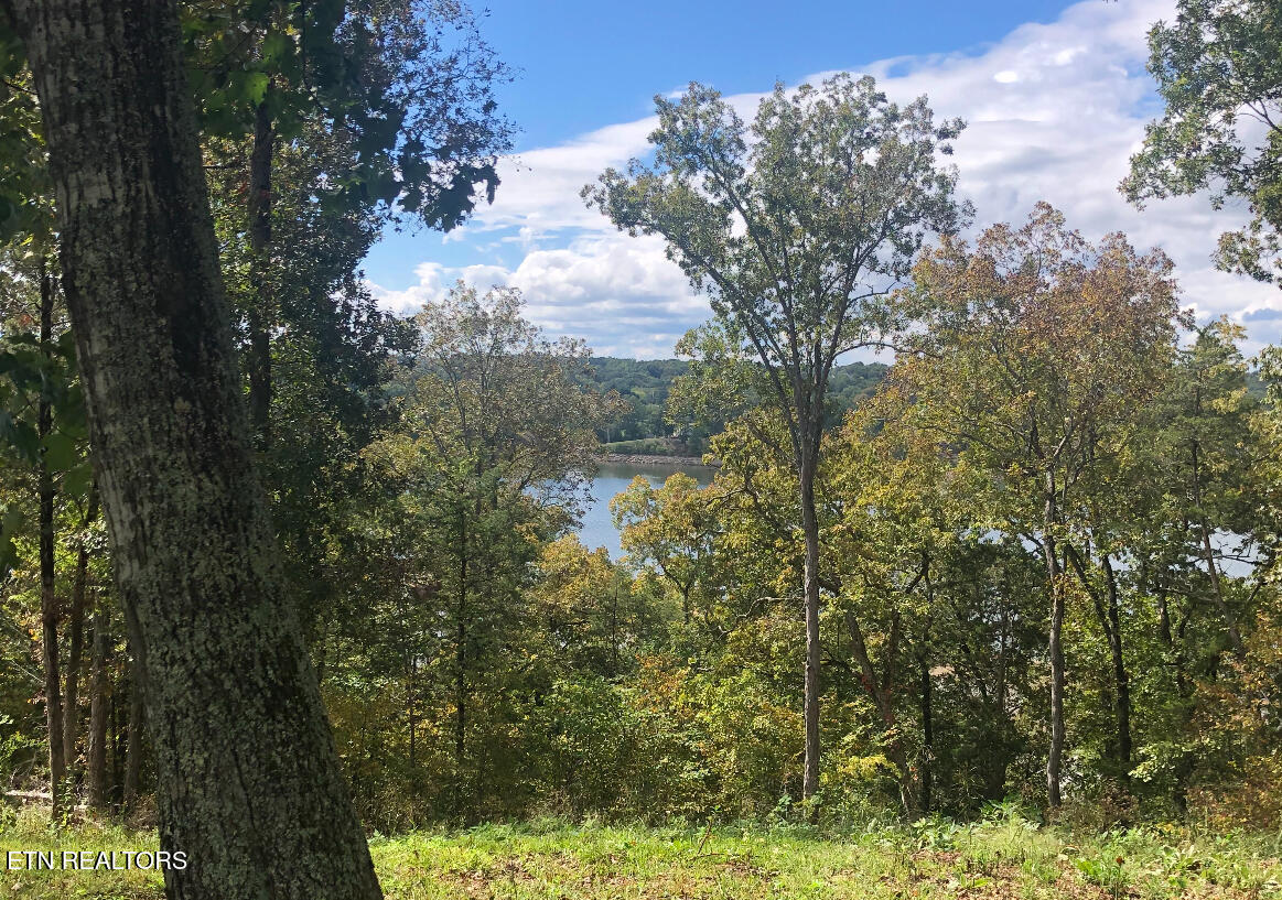Lot 16 Waterford Way