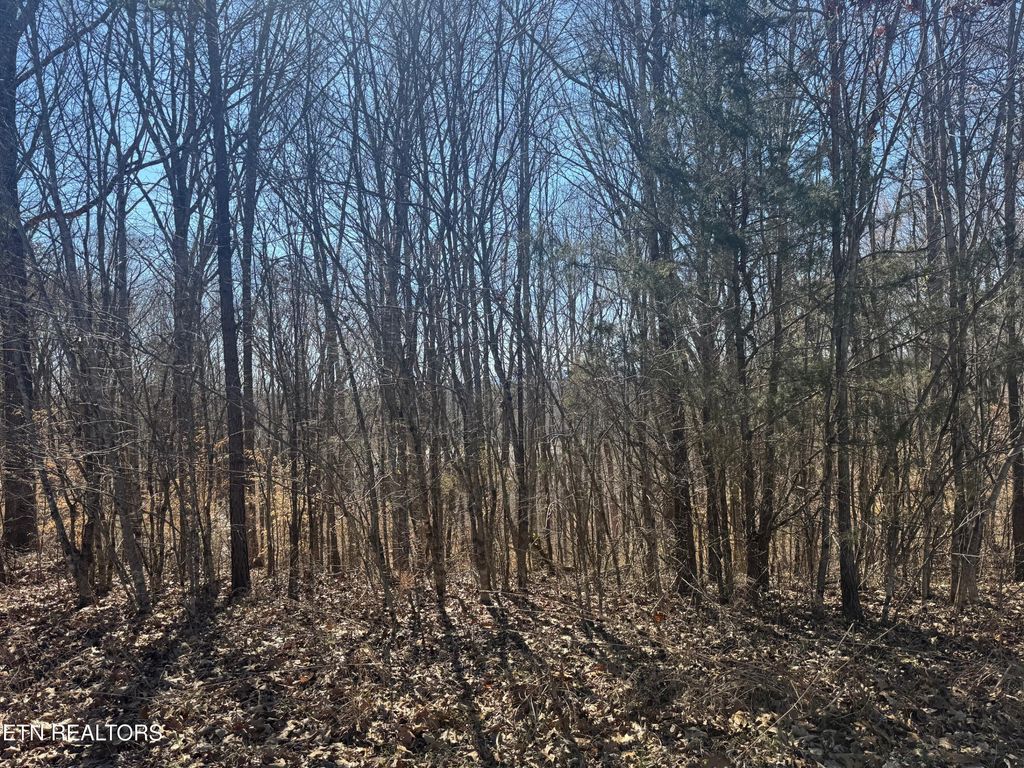 Photo of 71 Saddle Ridge Drive, Speedwell, TN 37870 (MLS # 1295875)